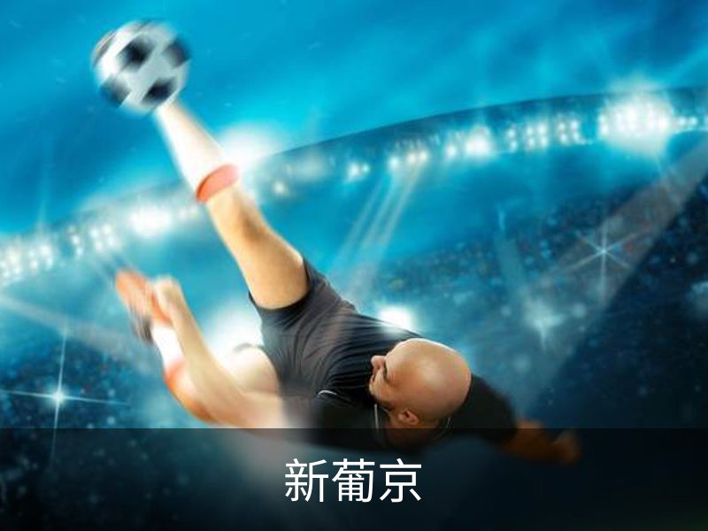 走进新葡京